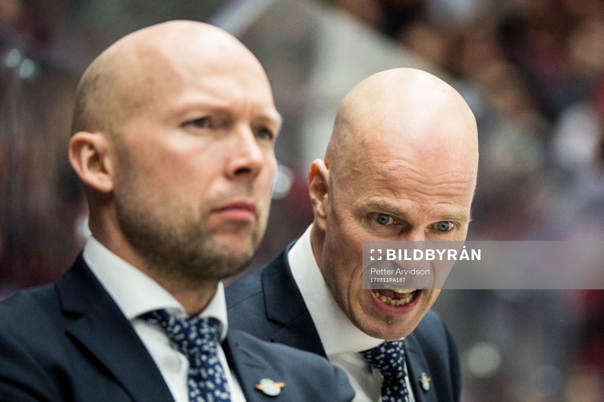 Luleås tränare Petter Lasu Nilsson och assisterande