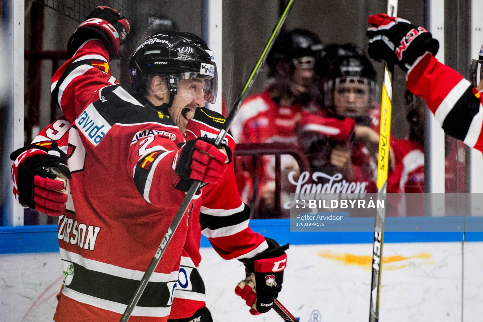Malmö Redhawks Erik Andersson och Rhett Rakhshani jublar