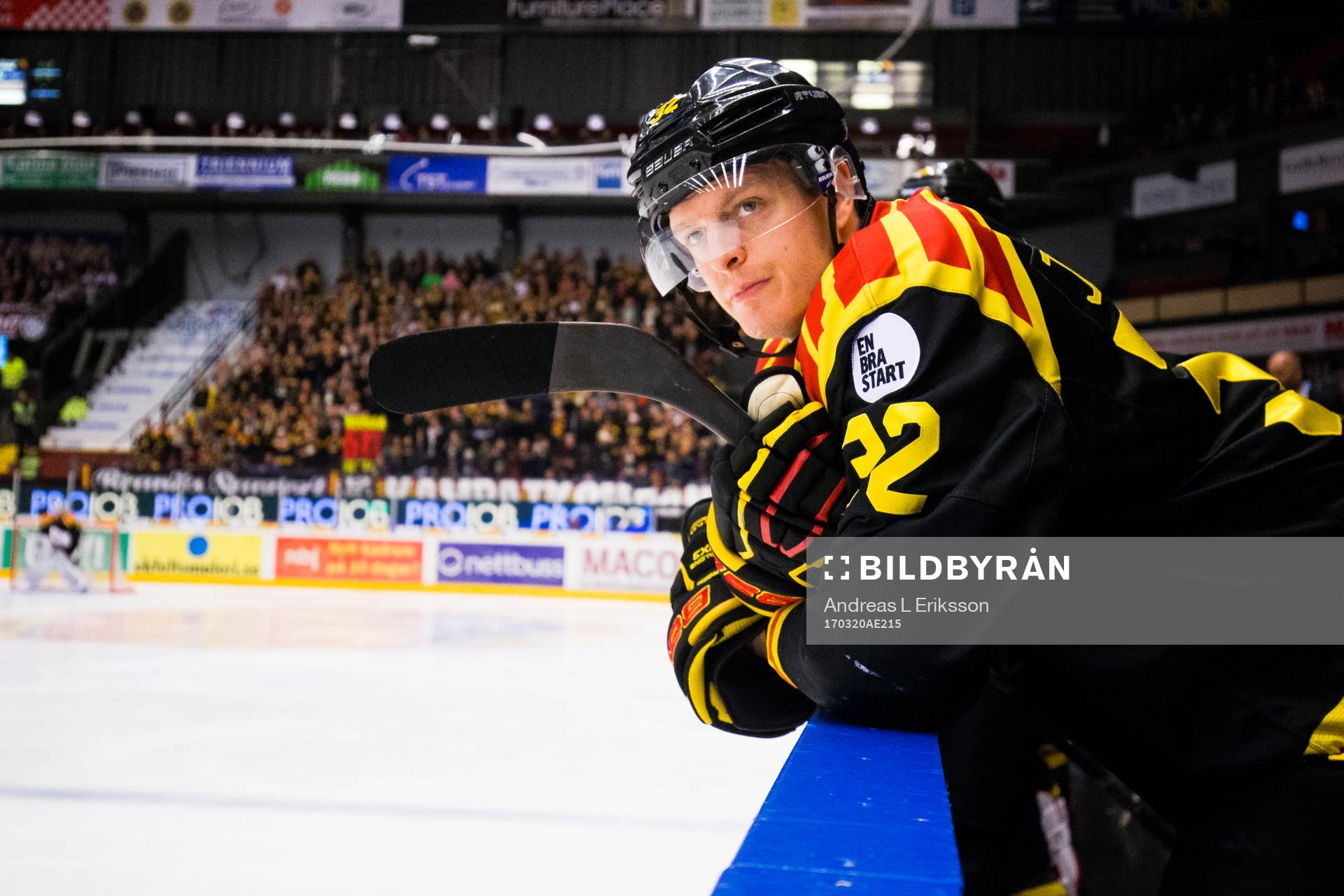 Brynäs Nick Johnson