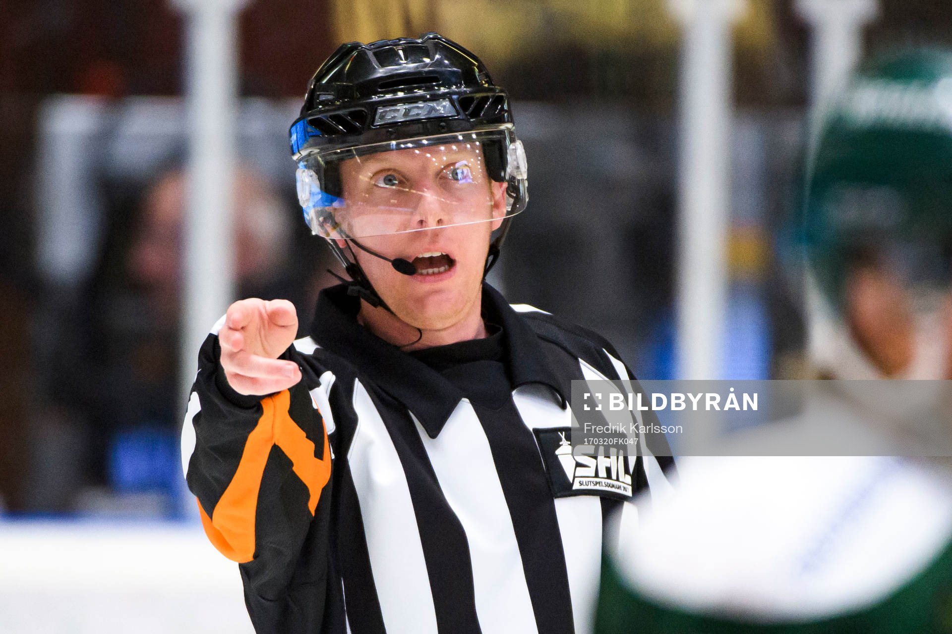 Domare Mikael Holm