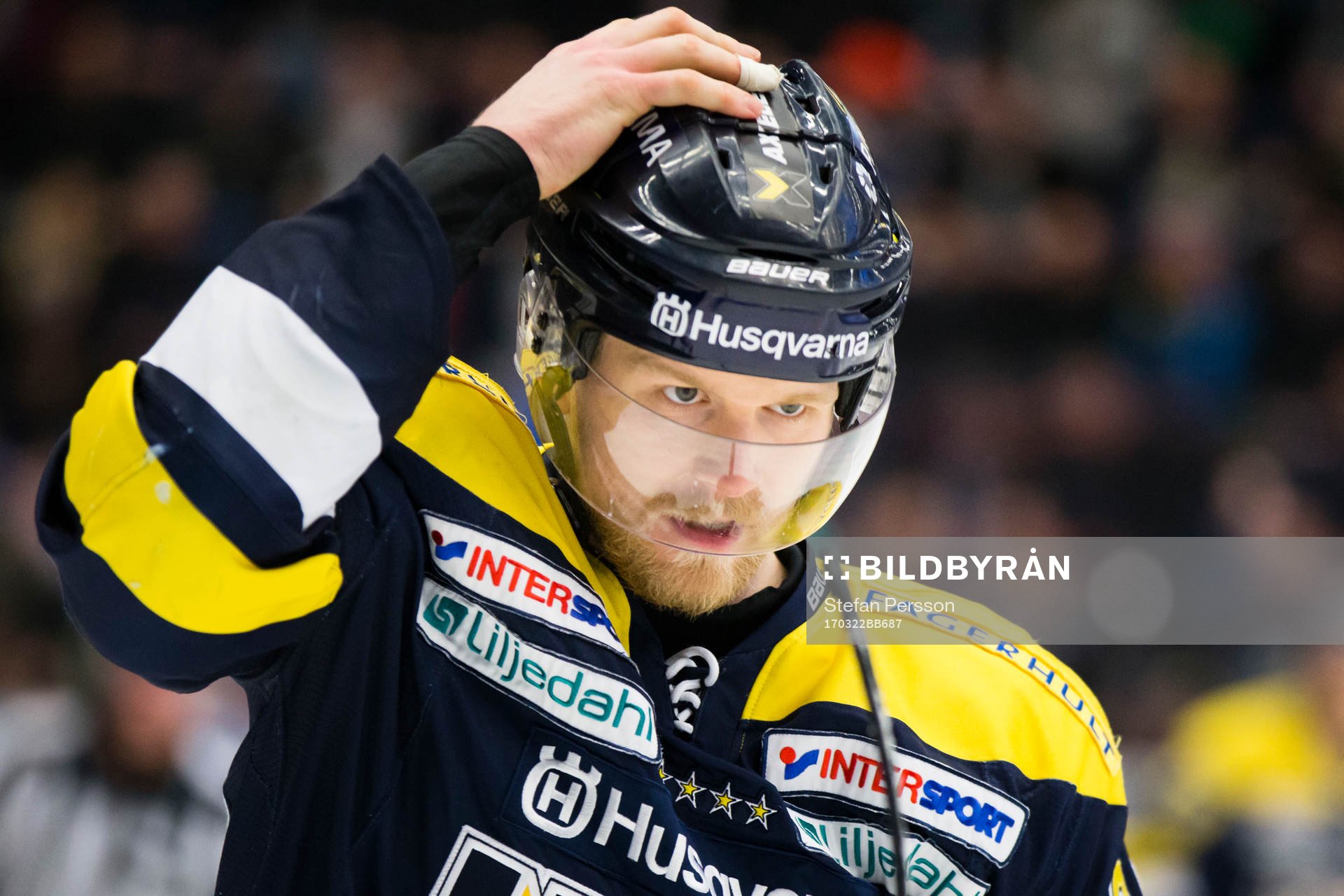 s Ted Brithén