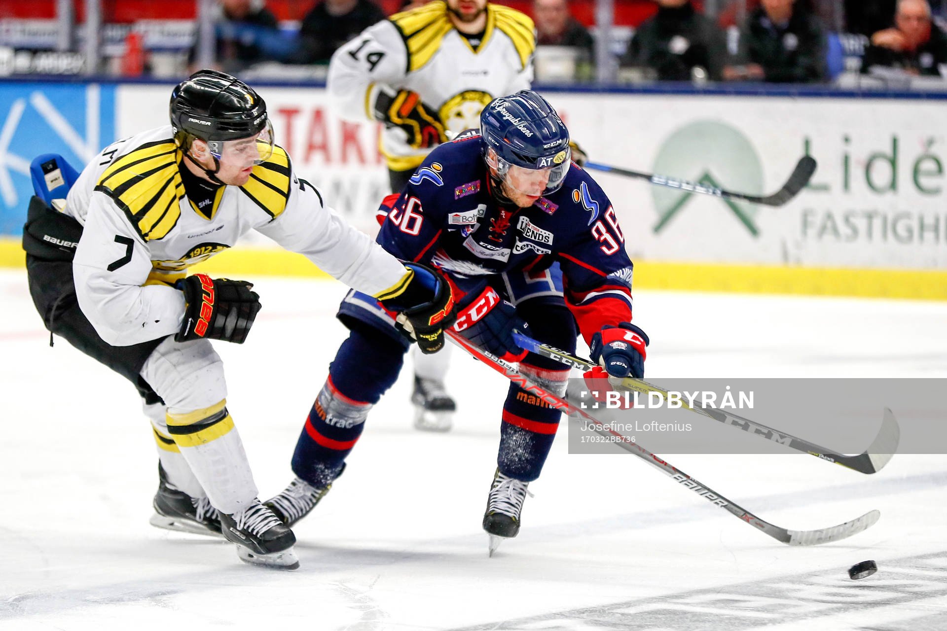 Brynäs Ponthus Westerholm och Linköpings Niklas Fogström