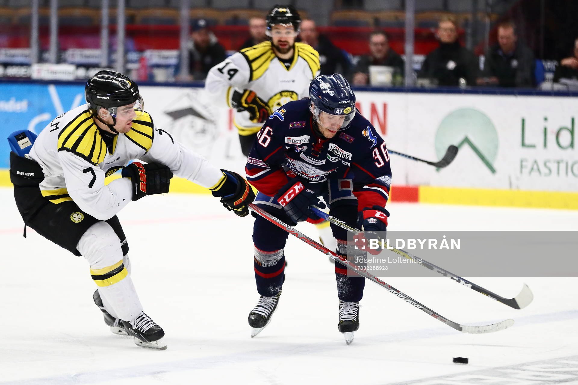 Linköpings Niklas Fogström