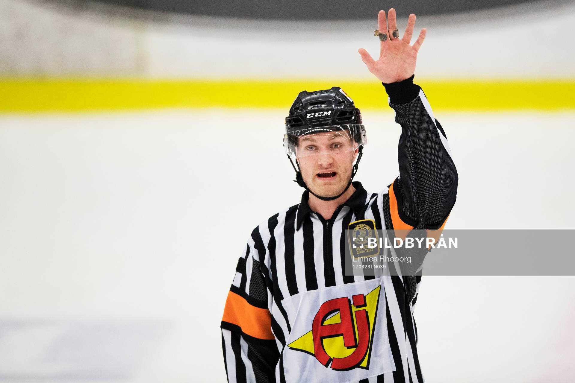 Domare Daniel Eriksson