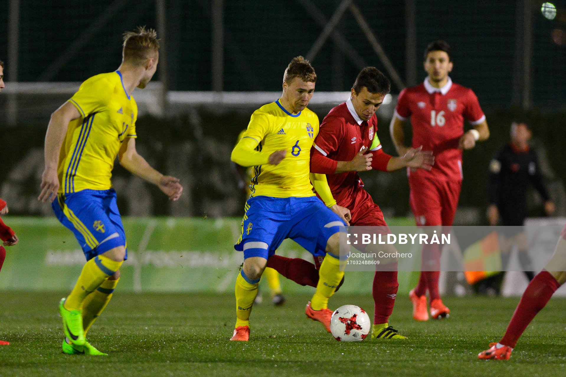SIMON TIBBLING (6 SWEDEN) FIGHT A BALL WITH NERMANJA