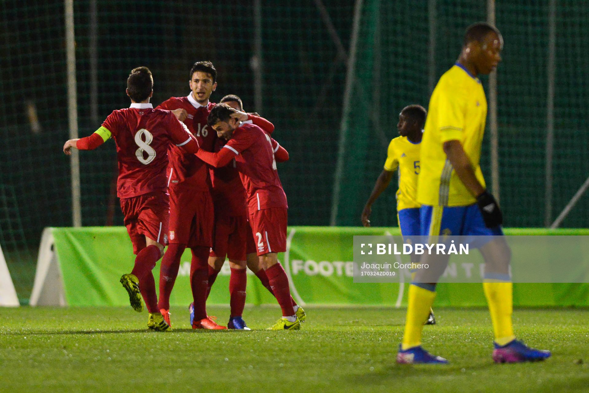 SERBIA, CELEBRATE GOAL OF MARKO GRUJIC (16 SERBIA)