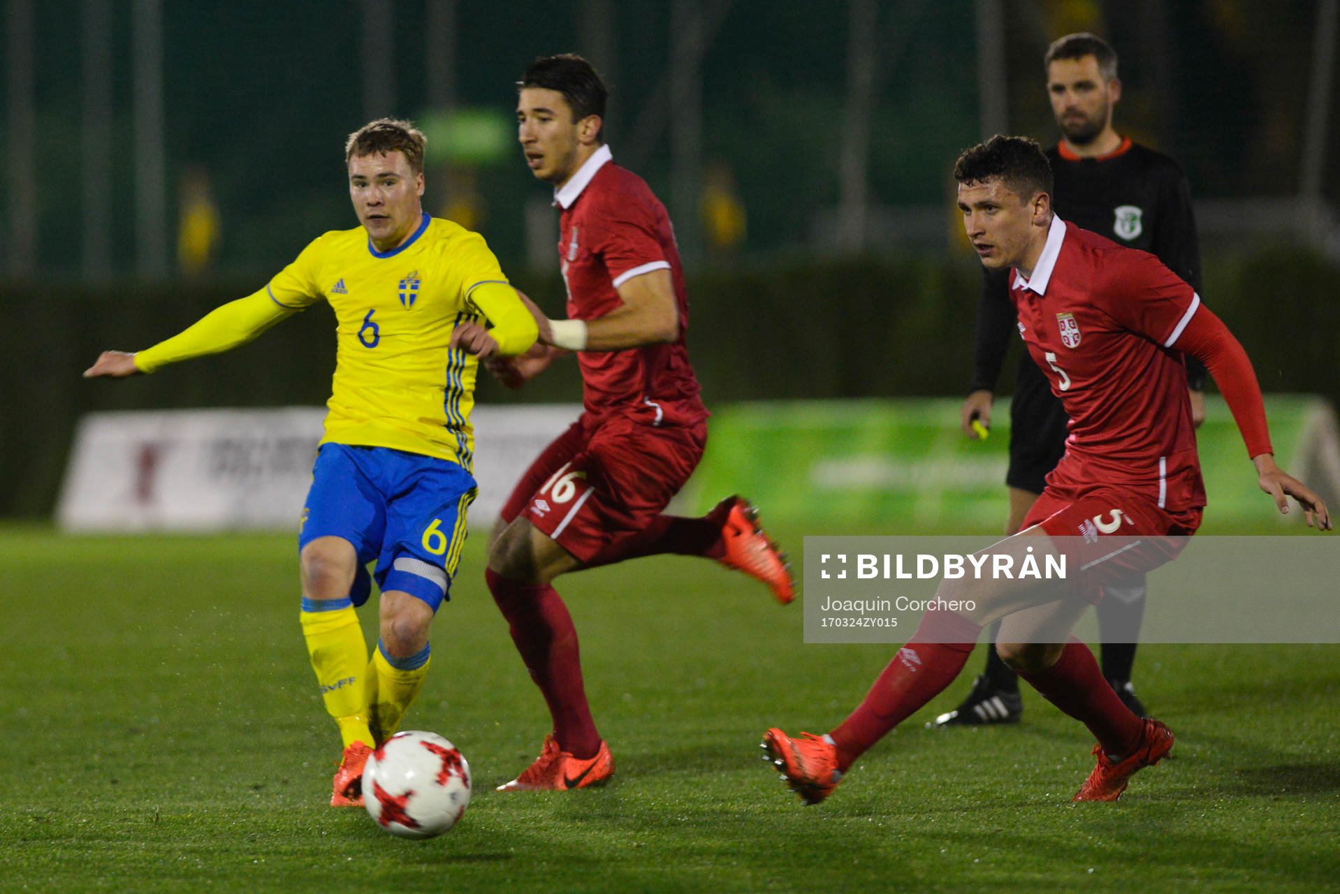 SIMON TIBBLING (6 SWEDEN) DRIVE THE BALL