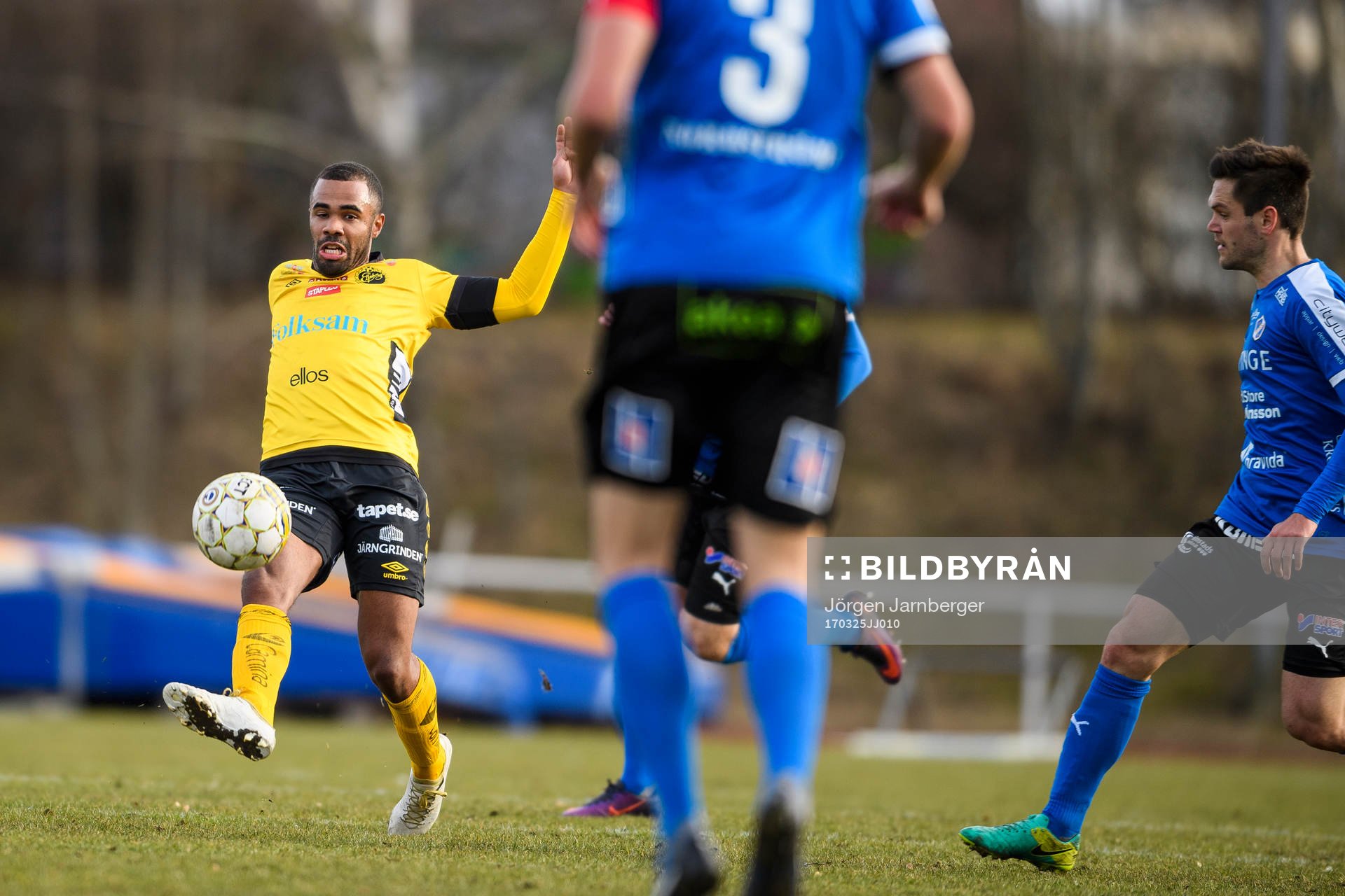 Elfsborgs Alex Dyer
