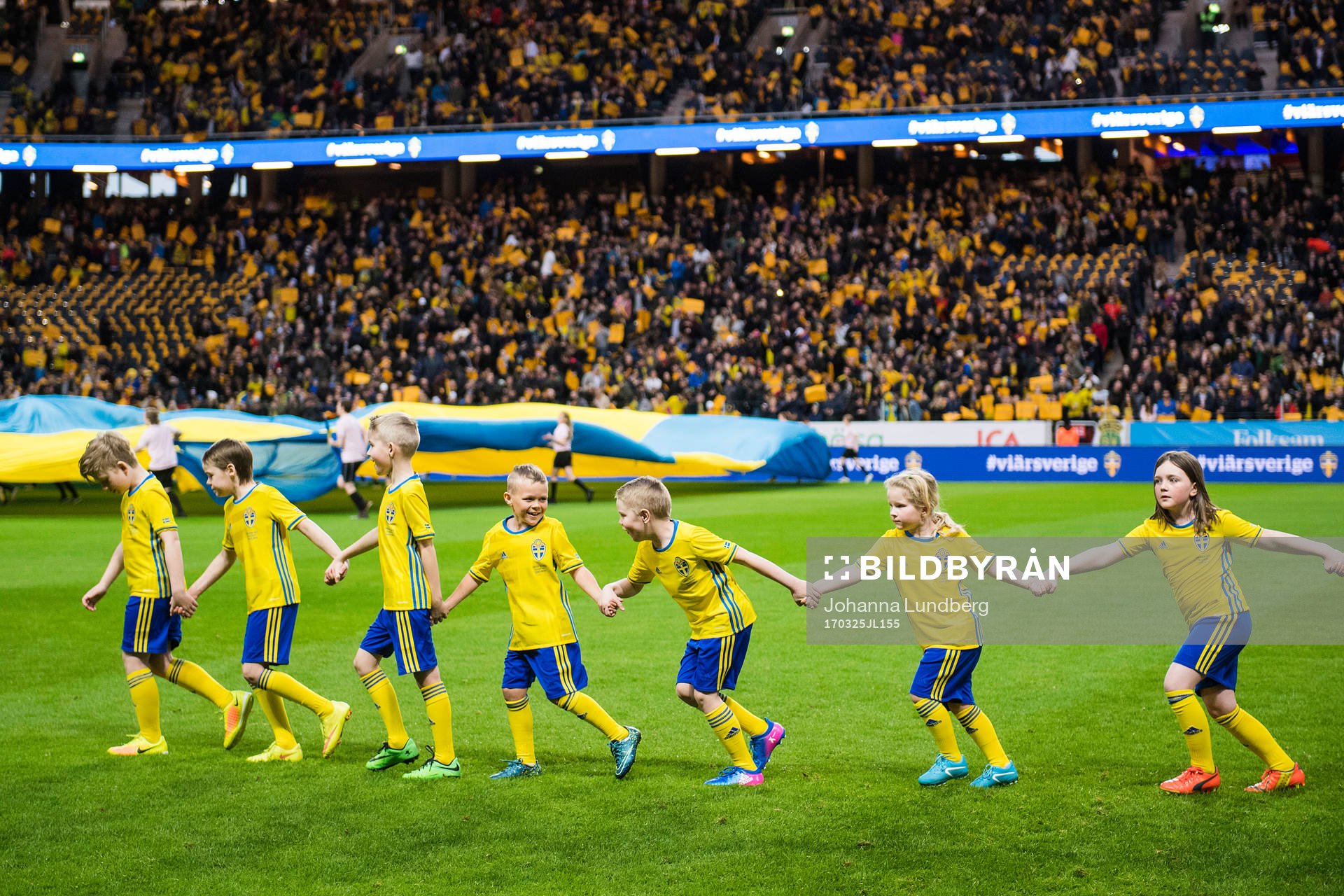 Sveriges knattar