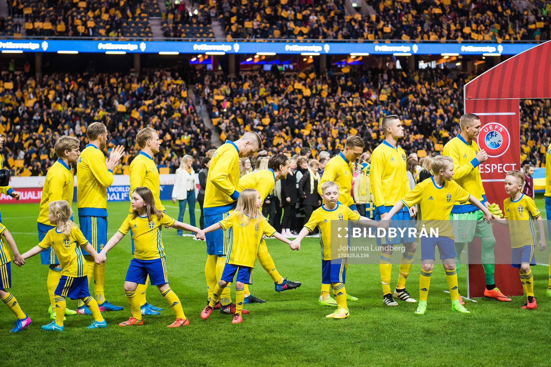 Sveriges knattar