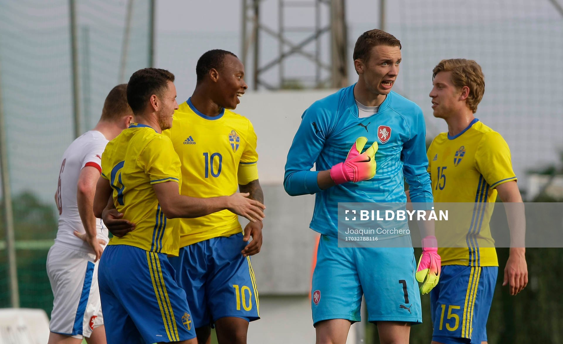 SWEDEN CELEBRATES GOAL