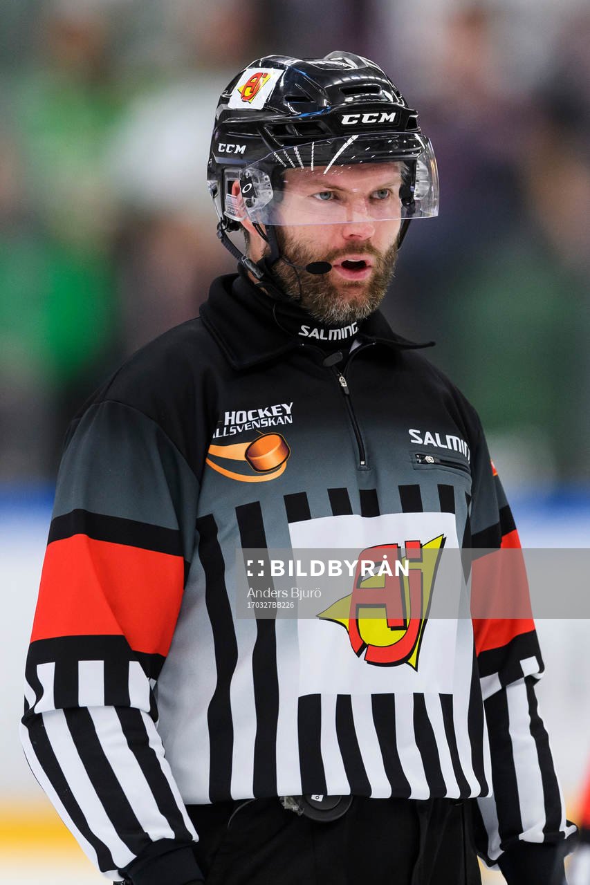 Domare David Bergman