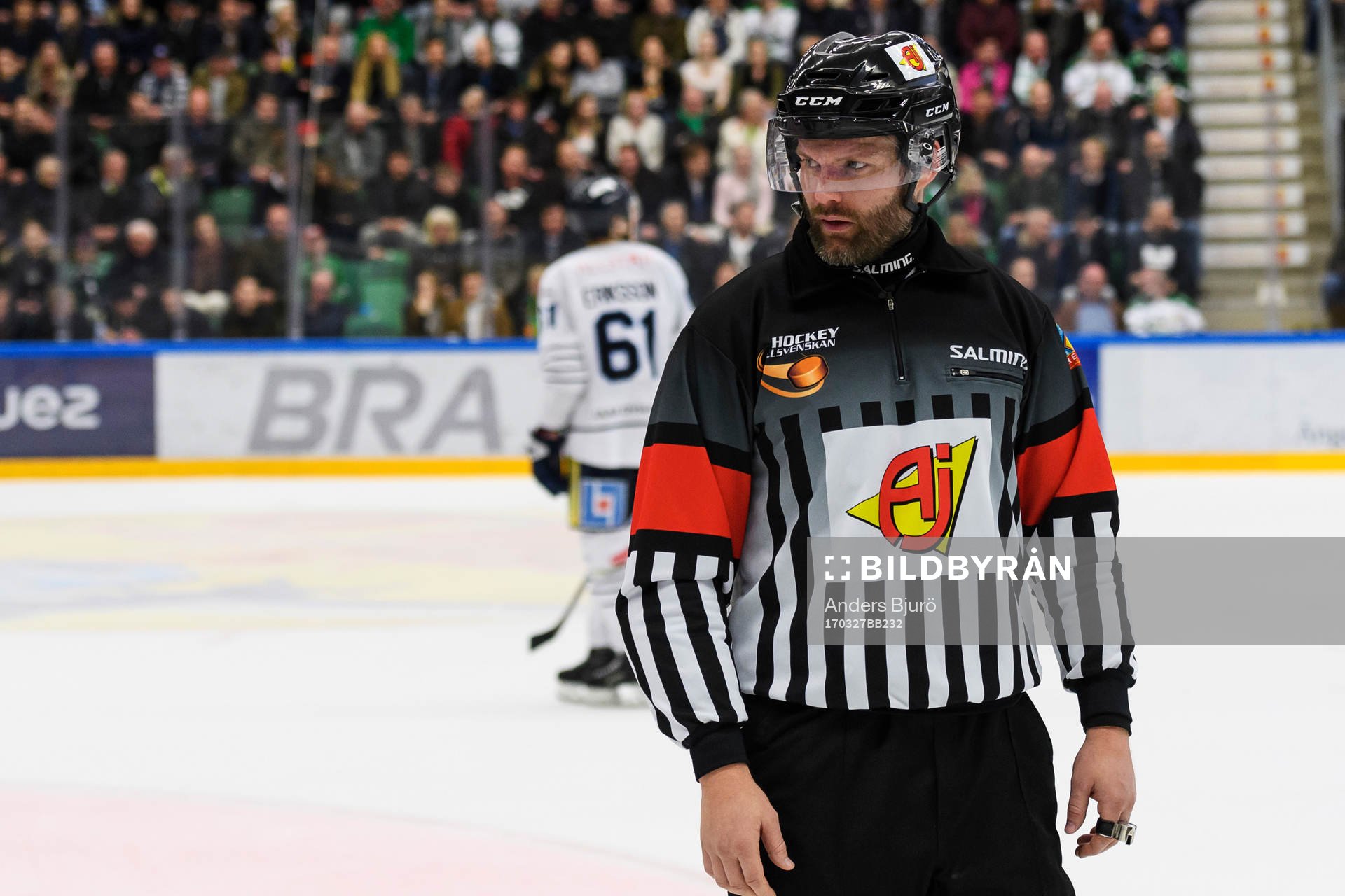 Domare David Bergman