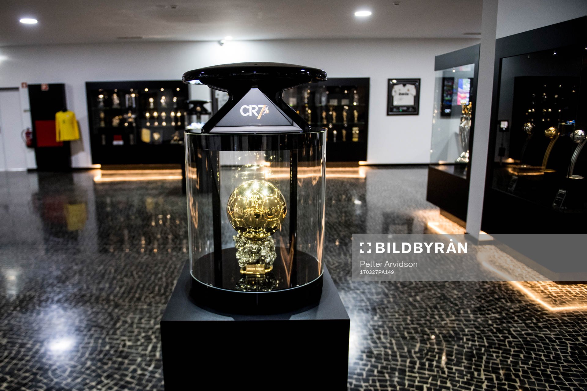 FIFA Ballon d'or, guldbollen är ett av alla priser som