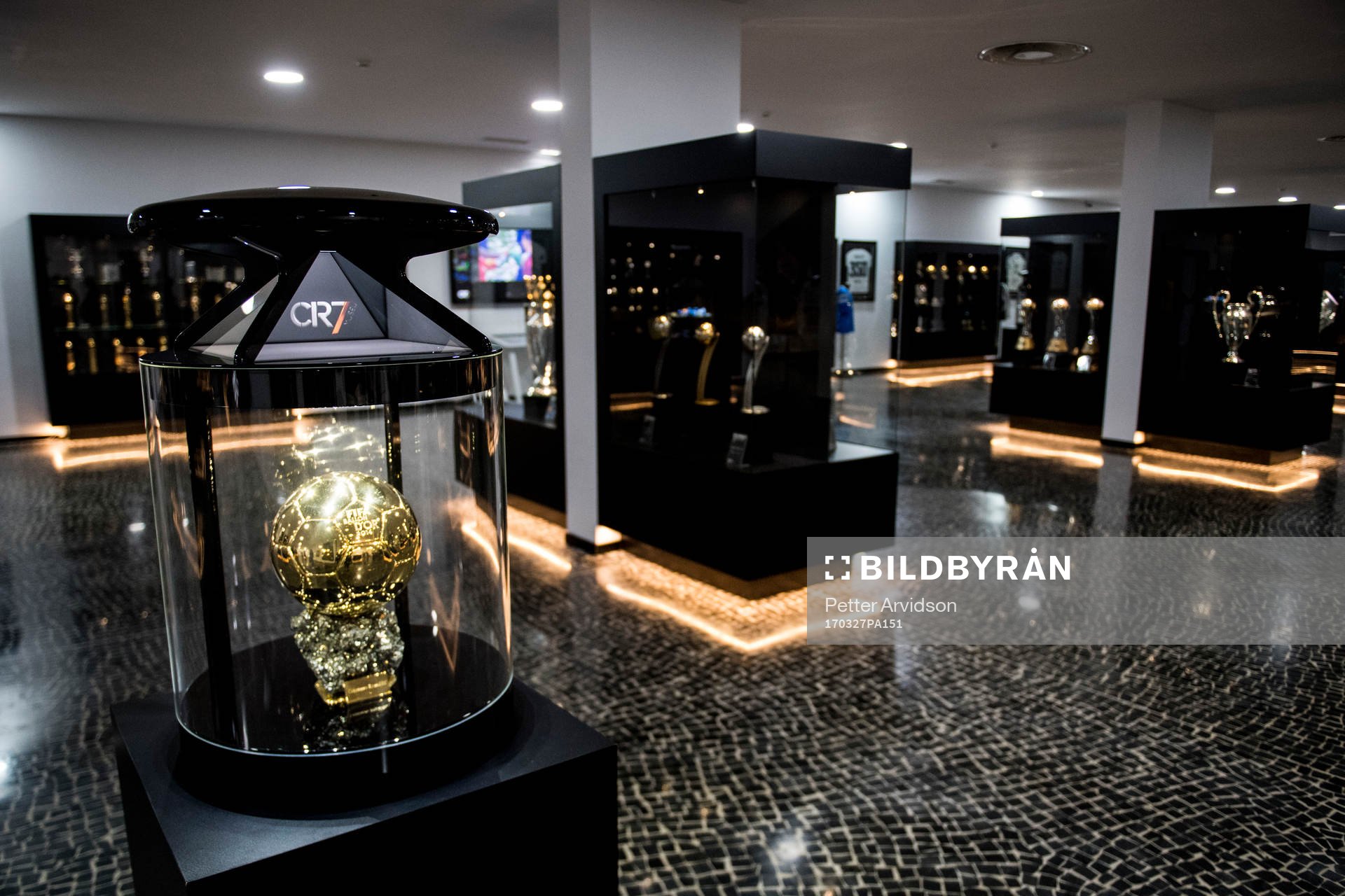 FIFA Ballon d'or, guldbollen är ett av alla priser som