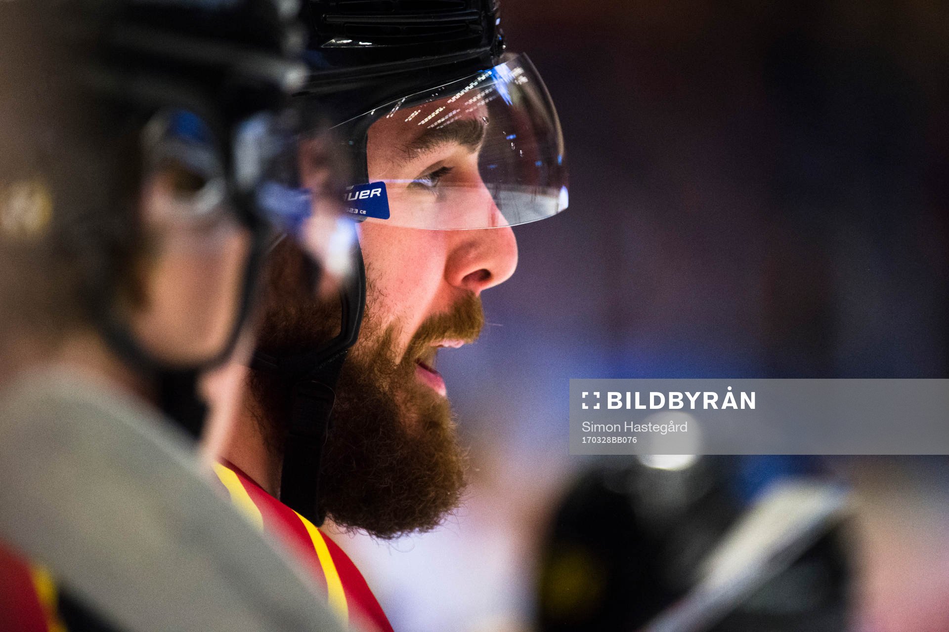 Brynäs Marc Zanetti