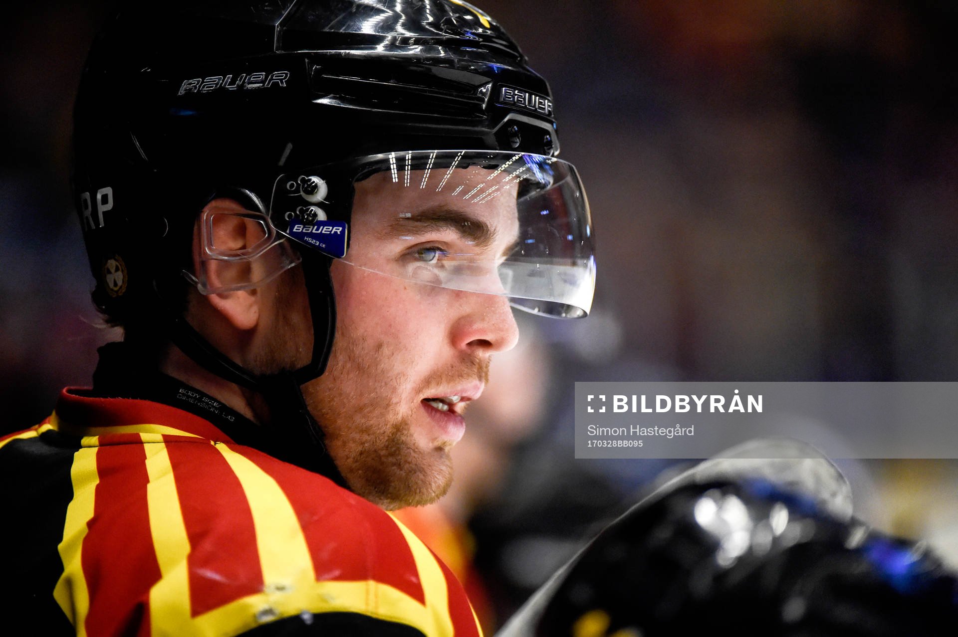 Brynäs Ponthus Westerholm
