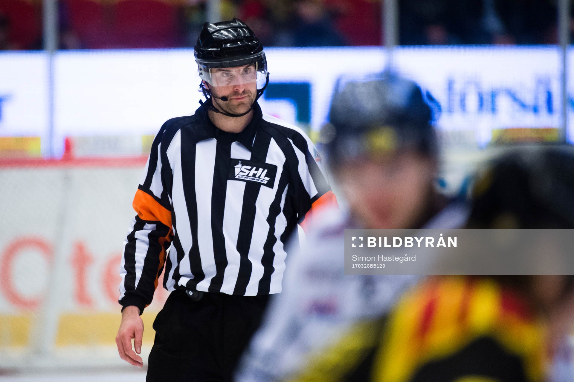 Domare Mikael Sjöqvist