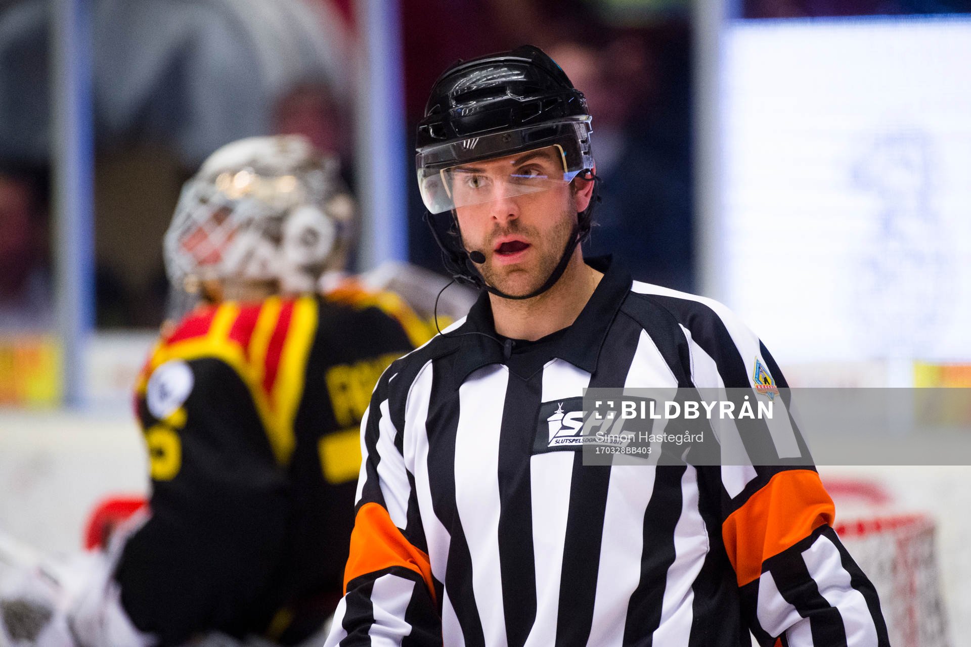 Domare Mikael Sjöqvist