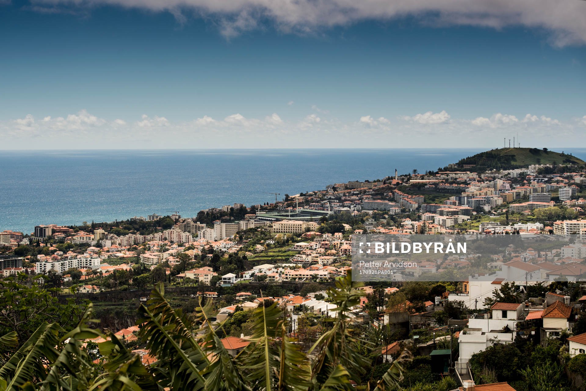 Staden Funchal på ön Madeira med Estádio do Marítimo i
