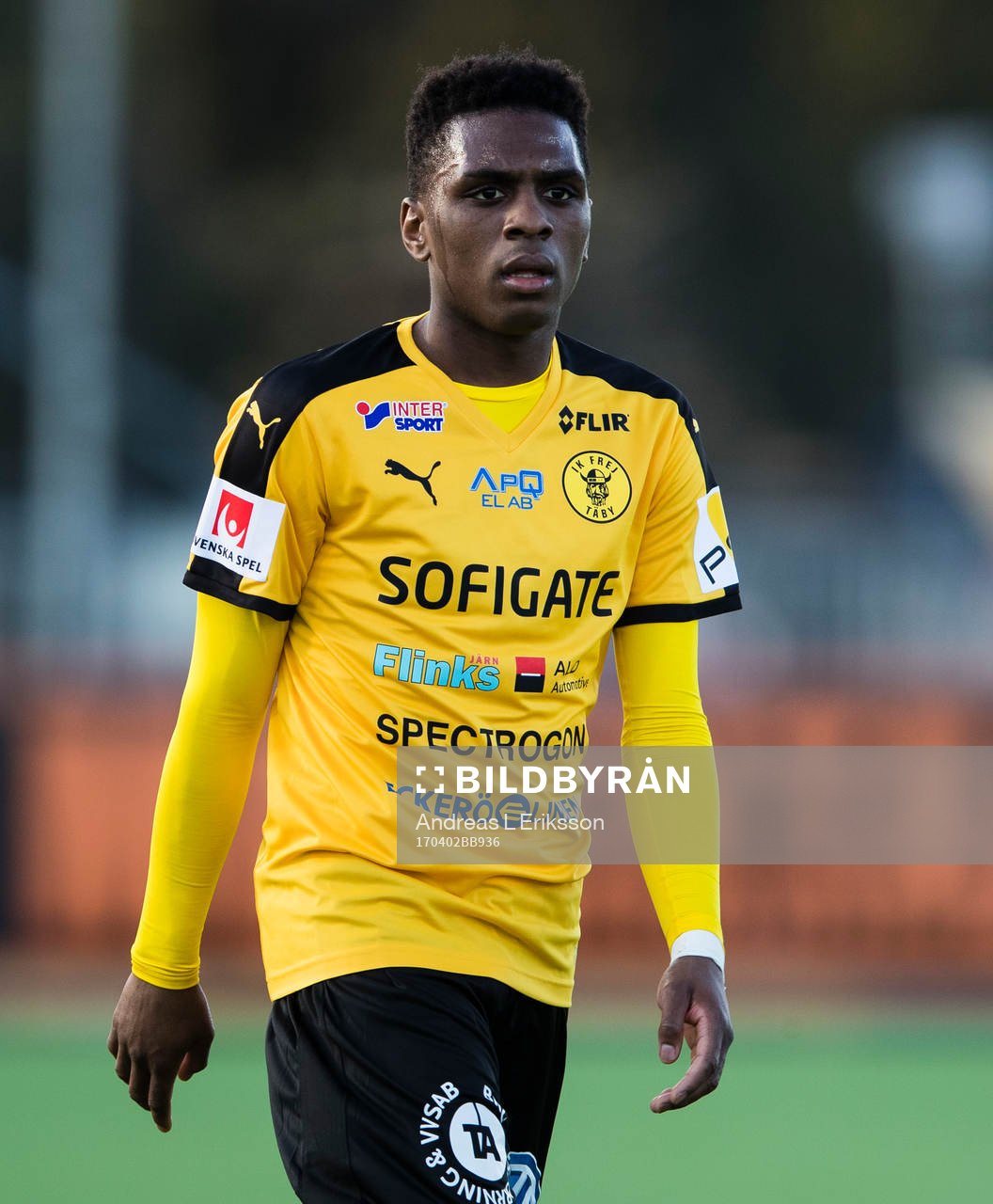 Frejs Dida Rashidi