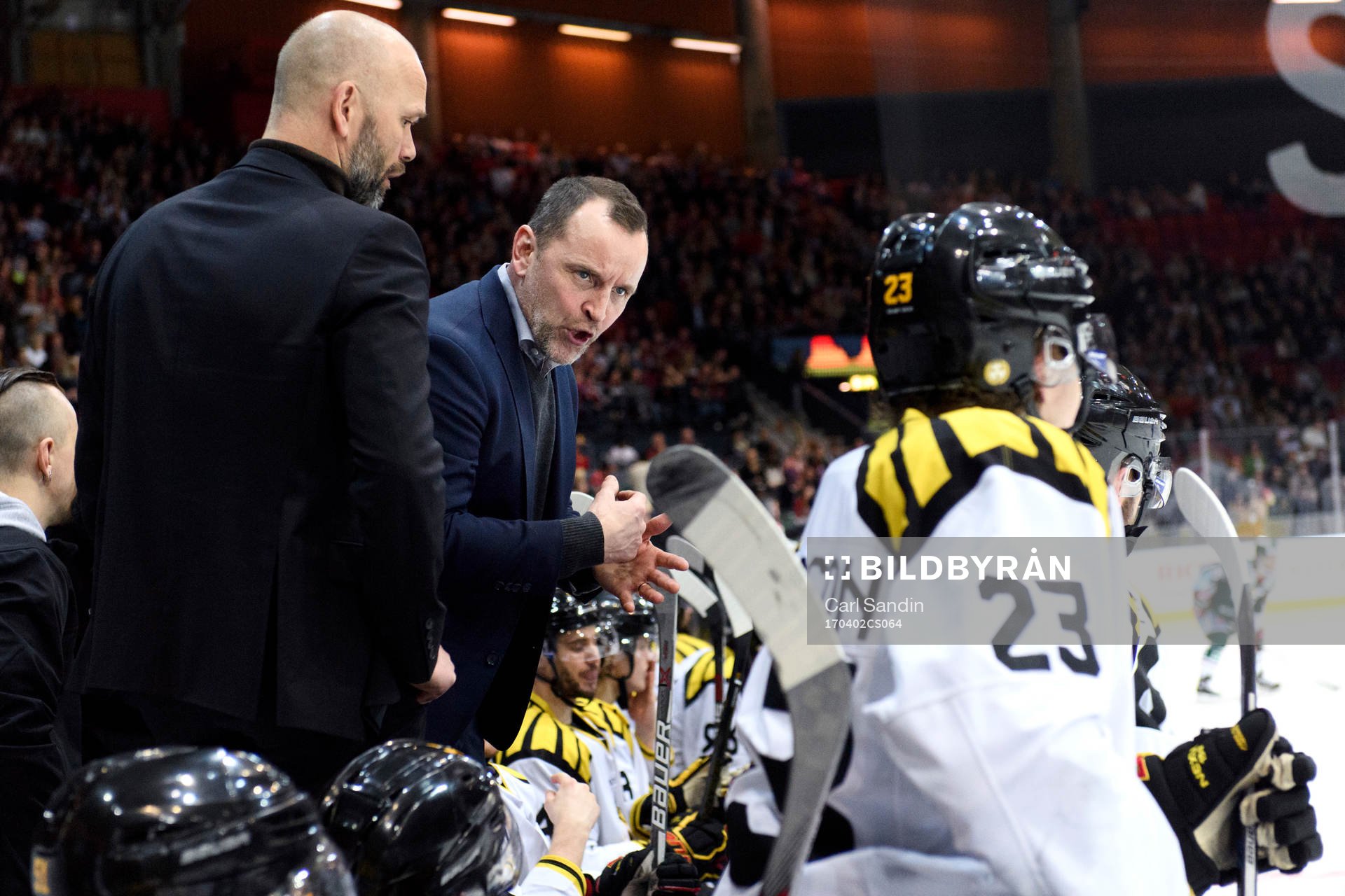 Brynäs tränare Thomas Berglund