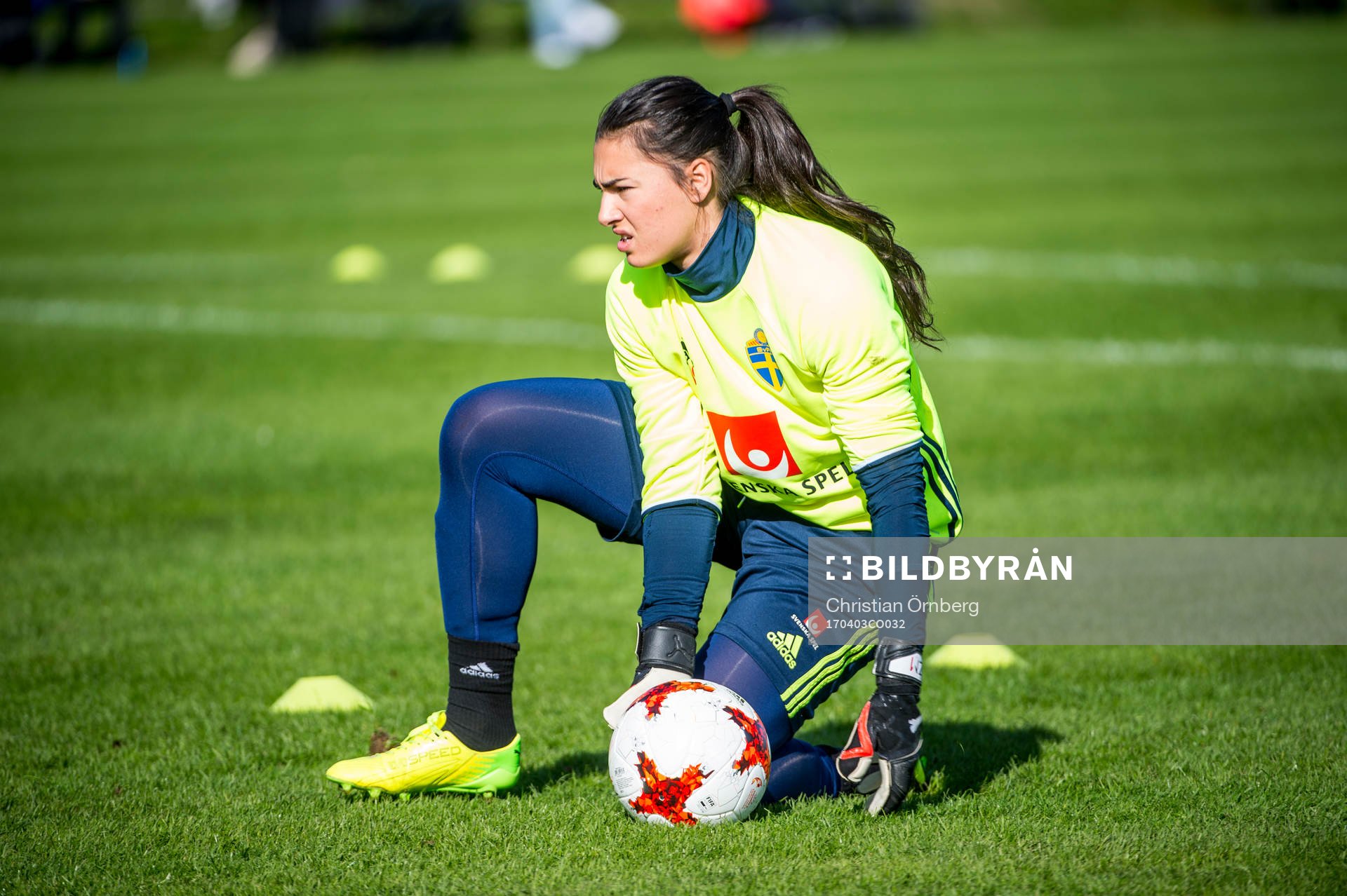 Måvakt Zecira Musovic