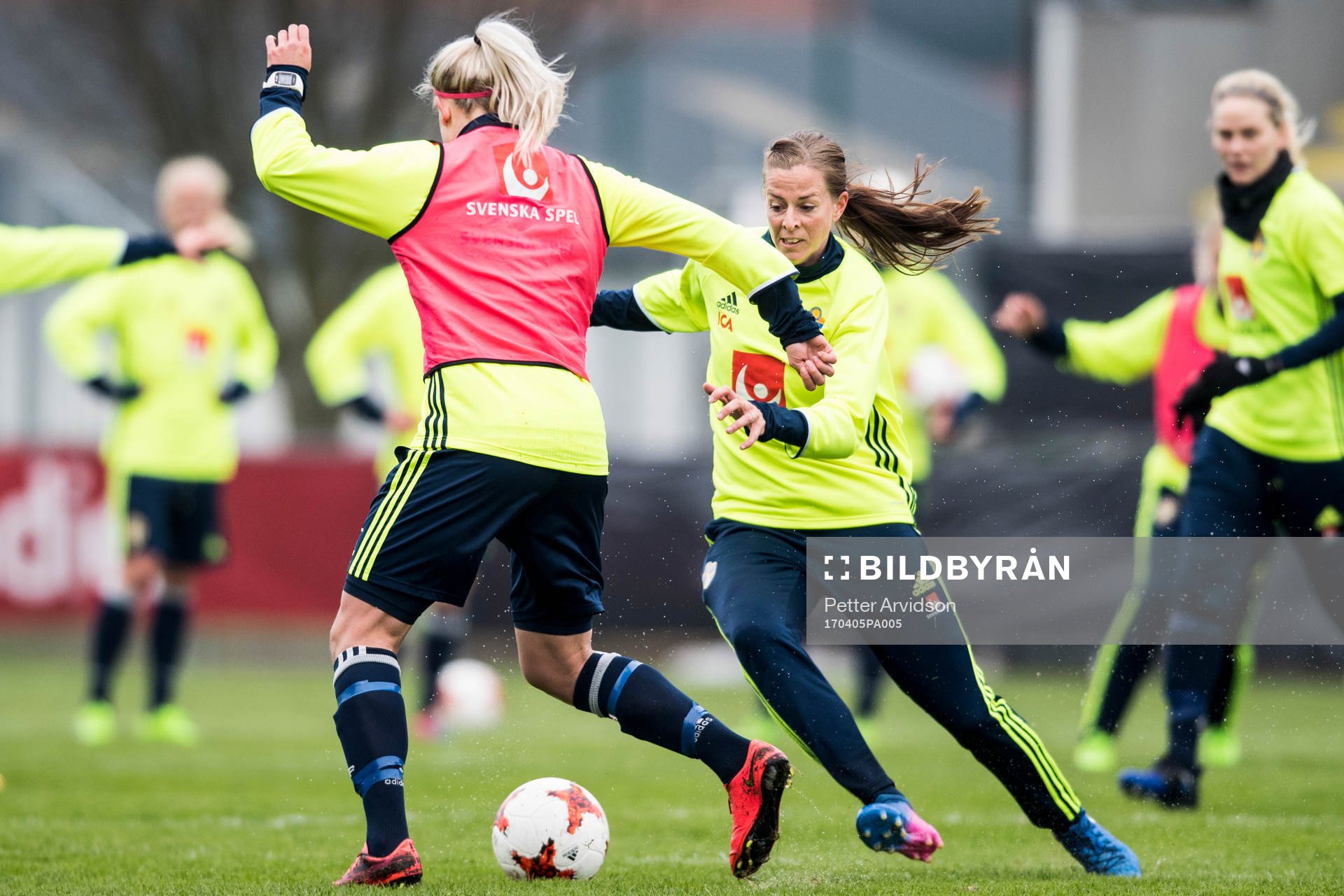 Lotta Schelin