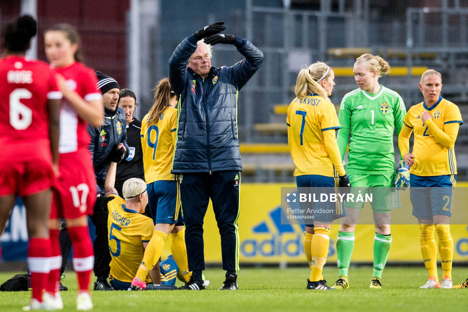 Sveriges Nilla Fischer tvingas till byte