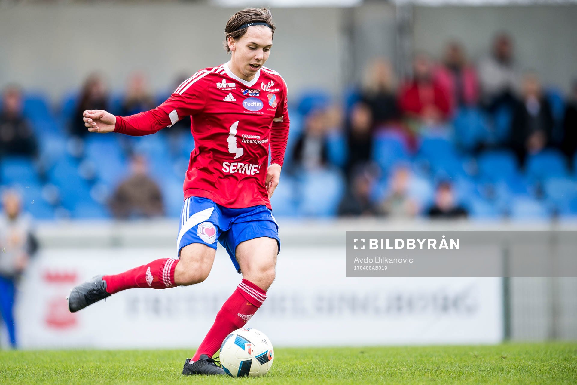 Sävedalens Wilmer