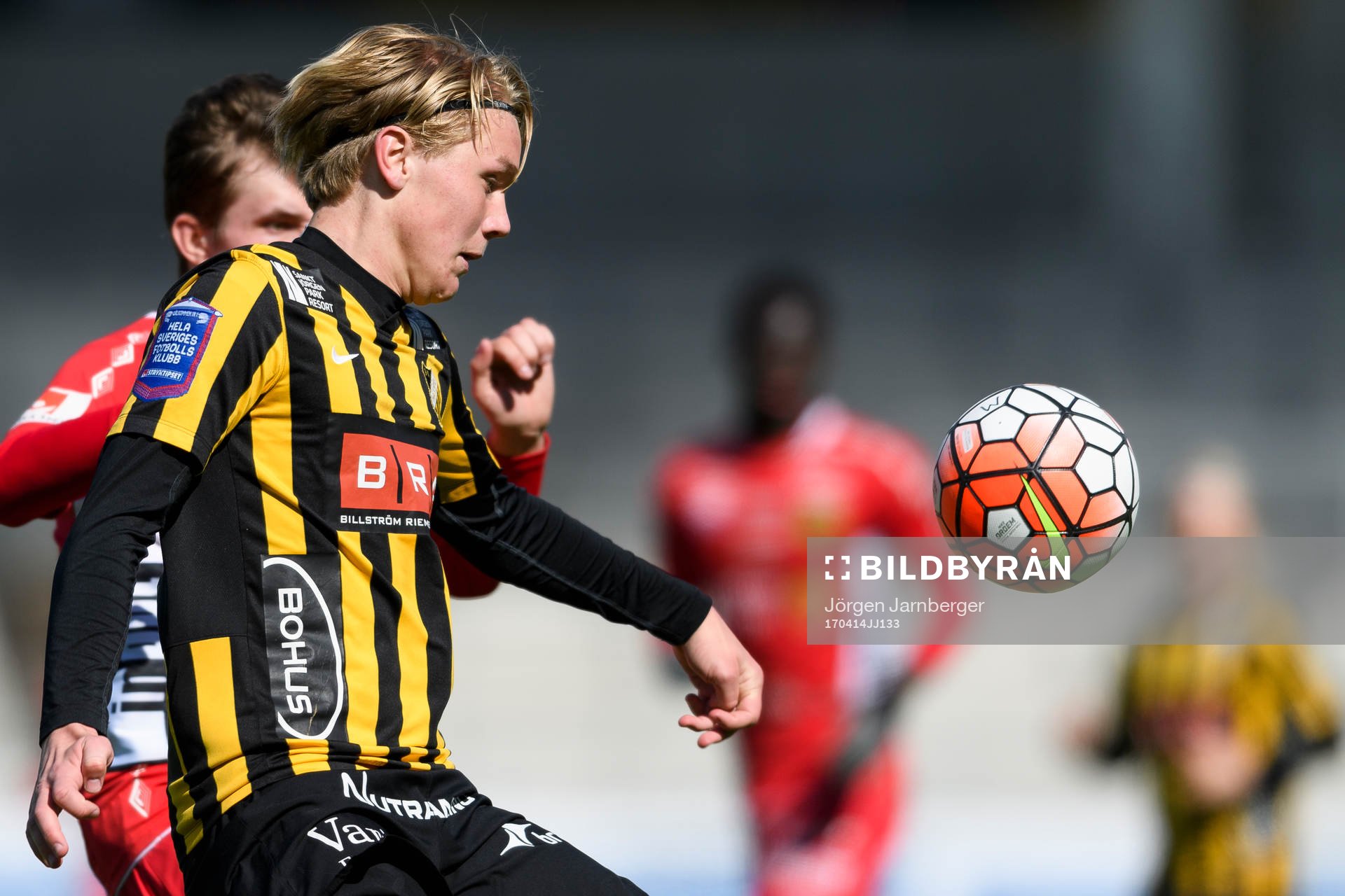 Häckens Teodor Wålemark