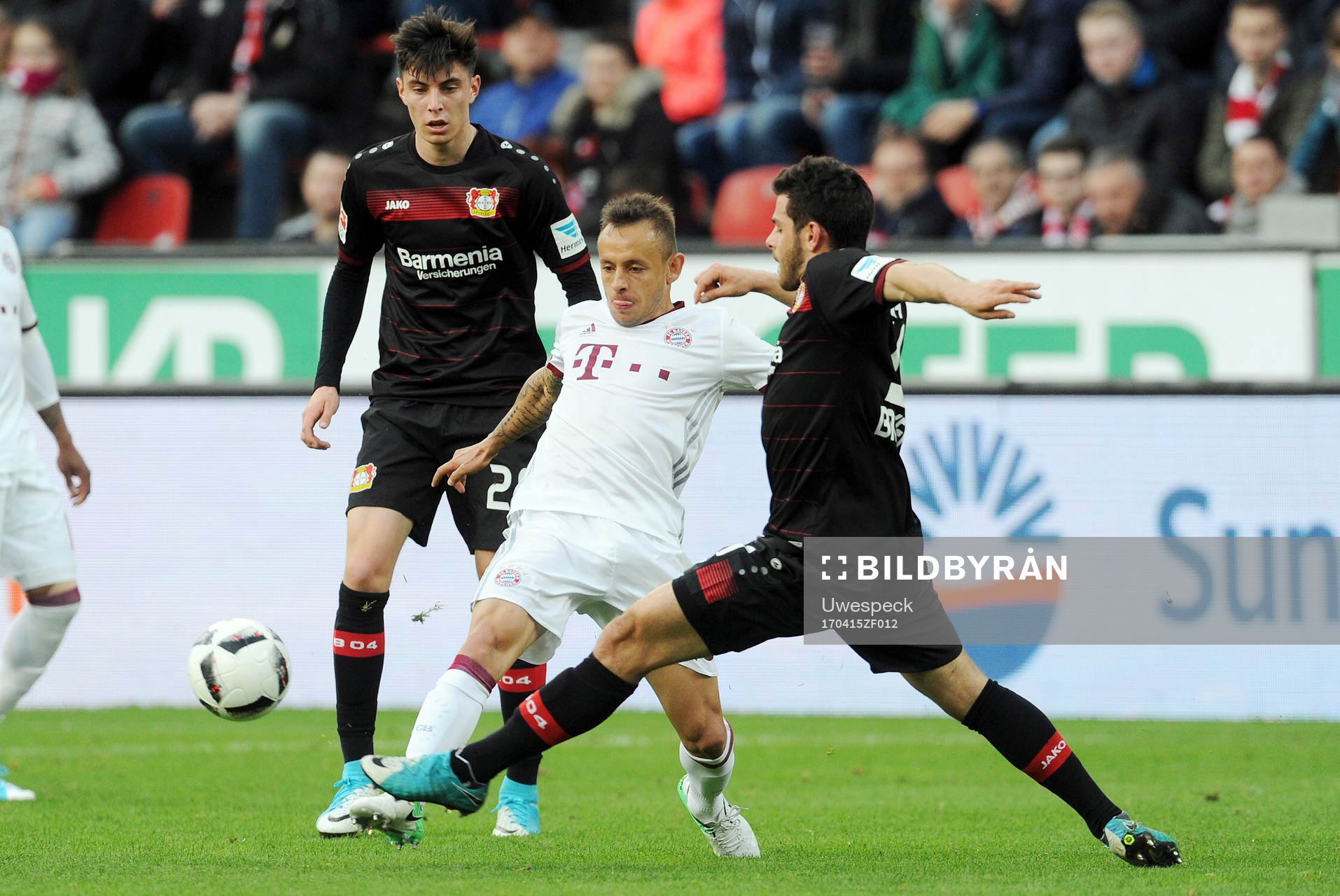  v.l. Kai Havertz, Rafinha, Kevin Volland (Leverkusen)