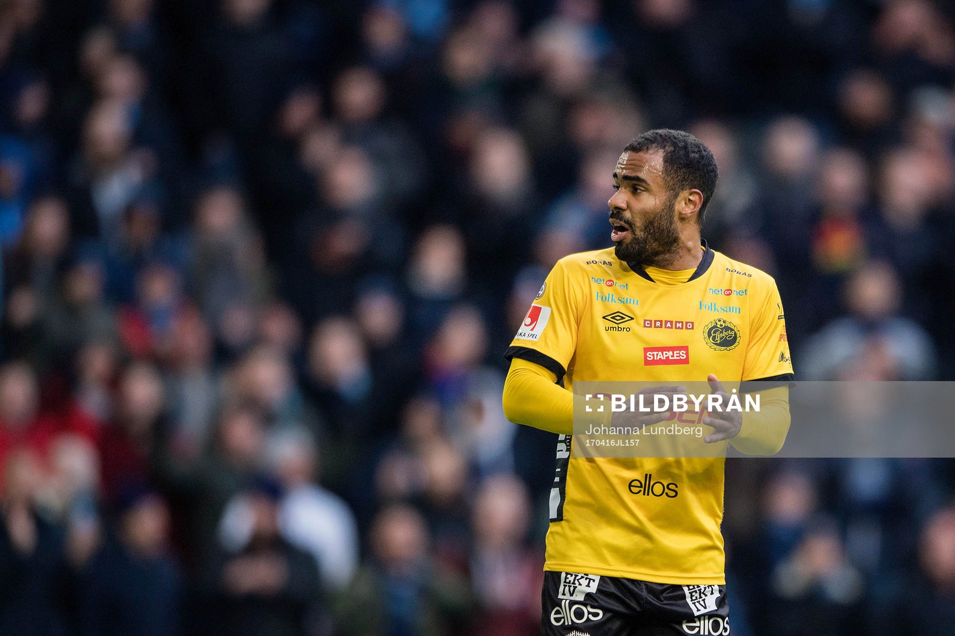 Elfsborgs Alex Dyer