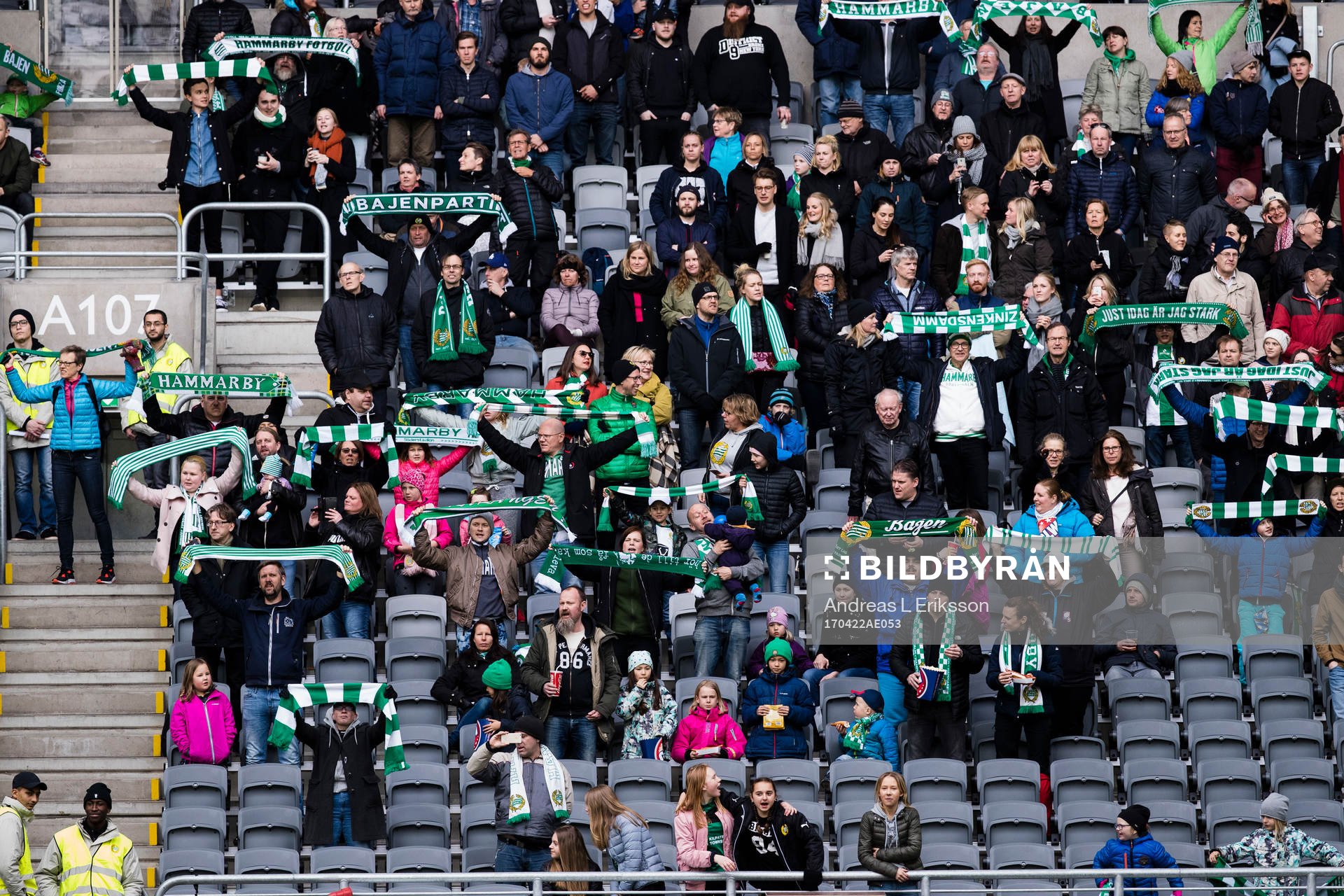 Hammarbys supportrar