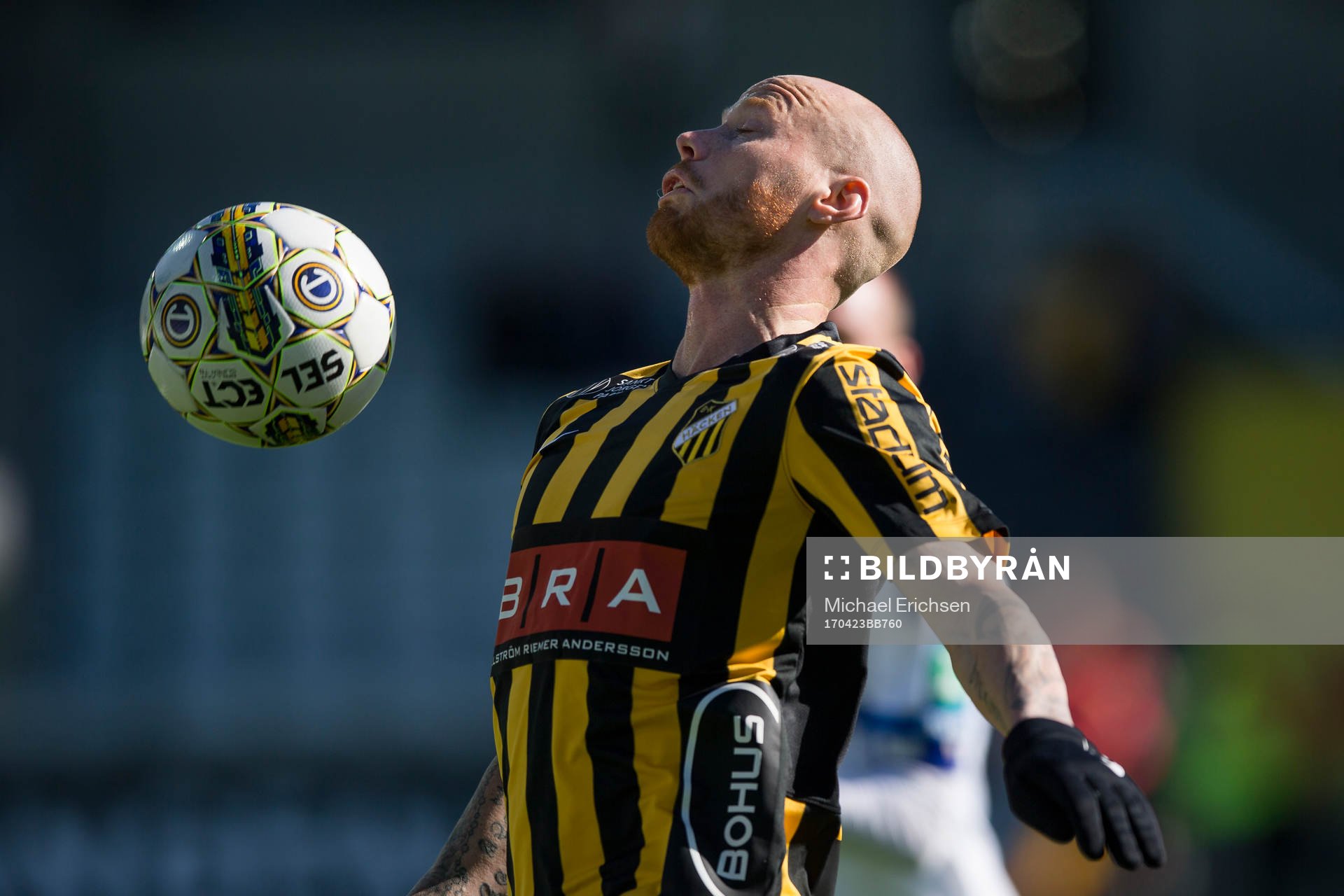Häckens Alexander Farnerud