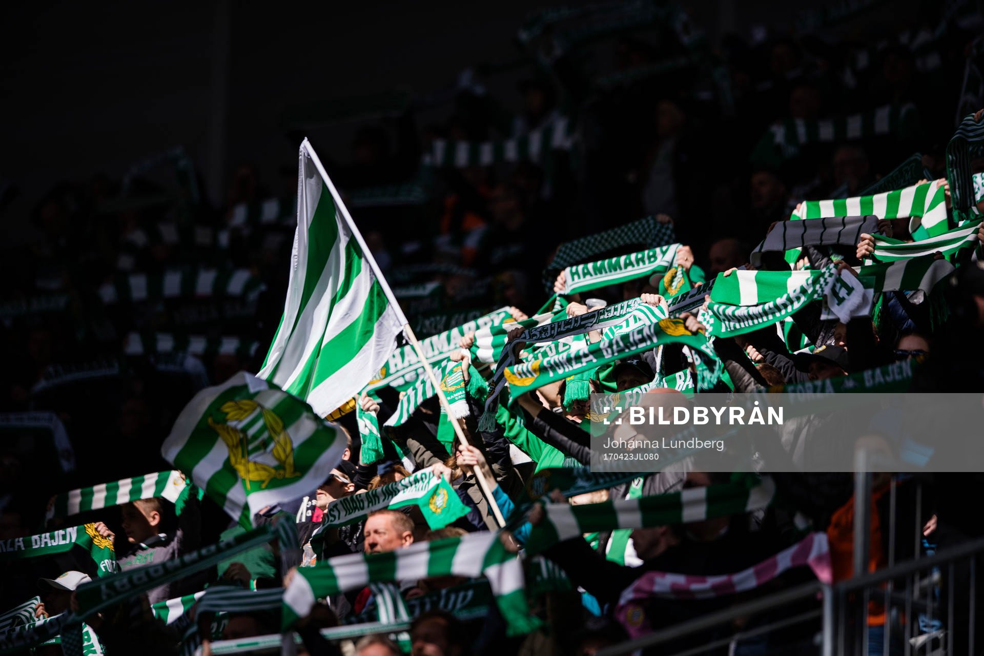 Hammarbys supportrar håller upp flaggor