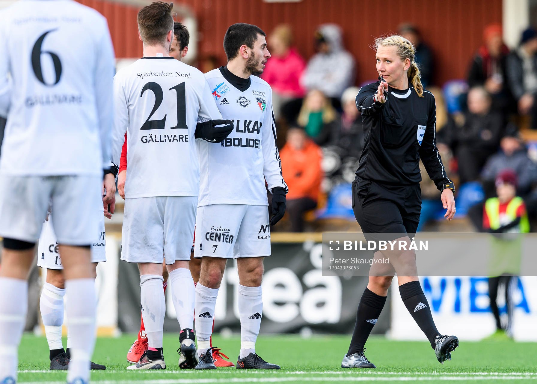 Domare Tess Olofsson