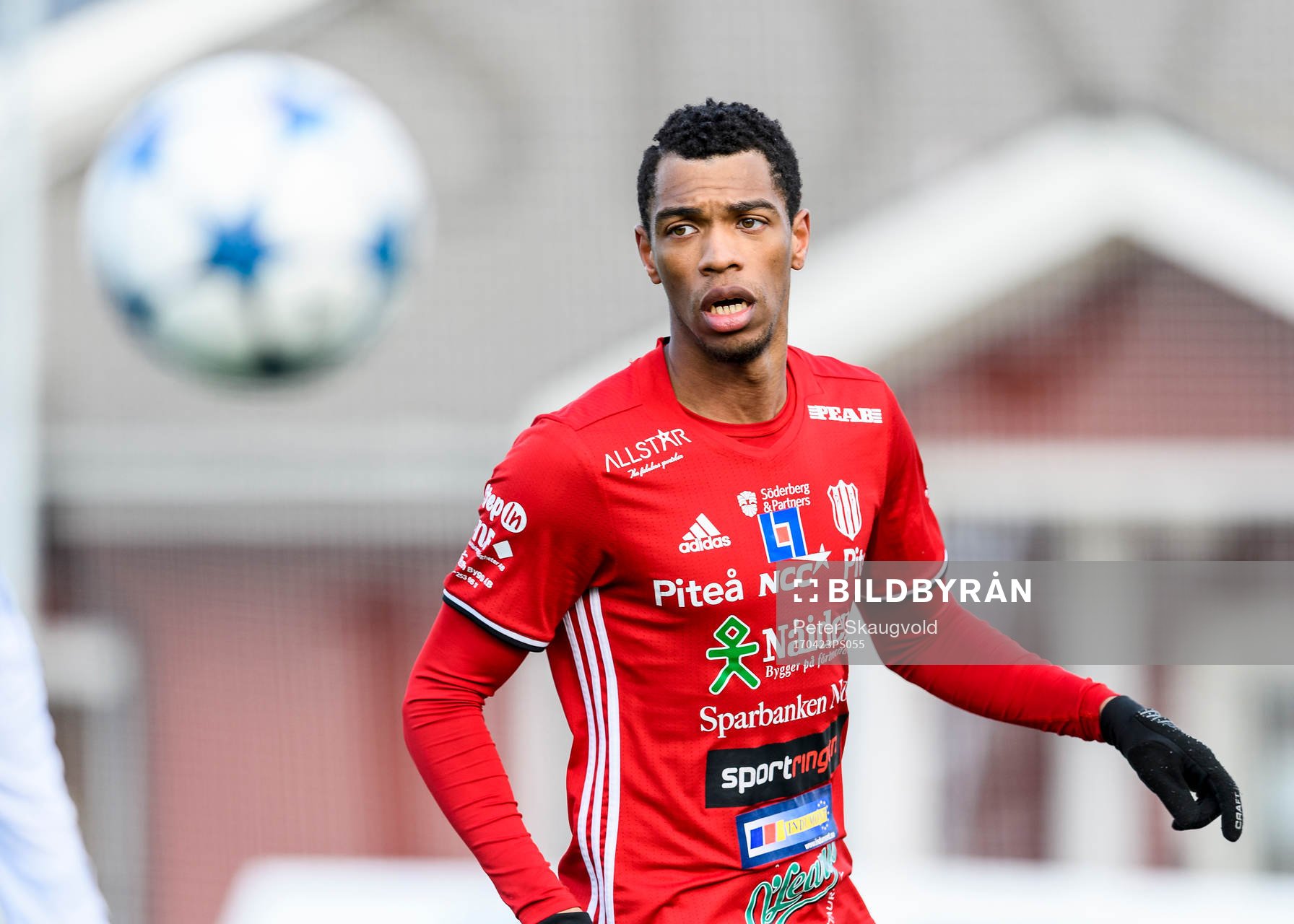 Piteås Kraig Rochester