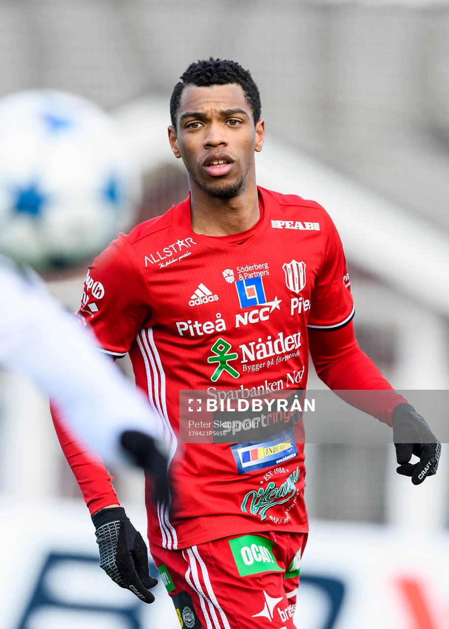 Piteås Kraig Rochester