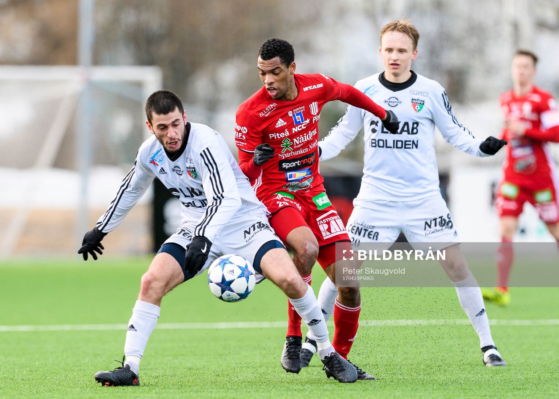 Piteås Kraig Rochester