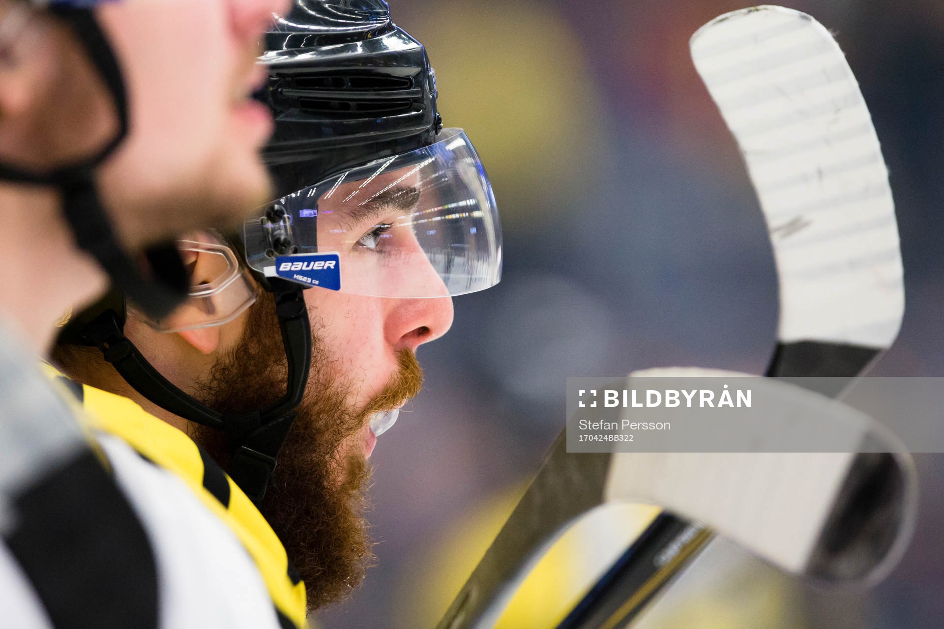 Brynäs Marc Zanetti