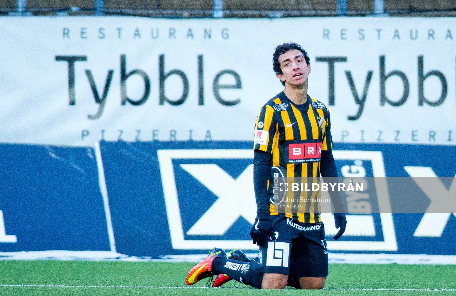 Häckens Daleho Irandust deppar