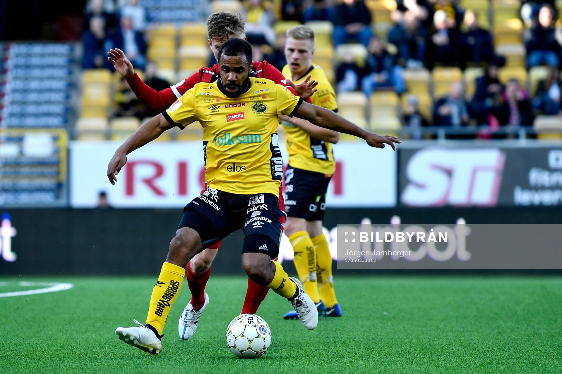 Elfsborgs Alex Dyer