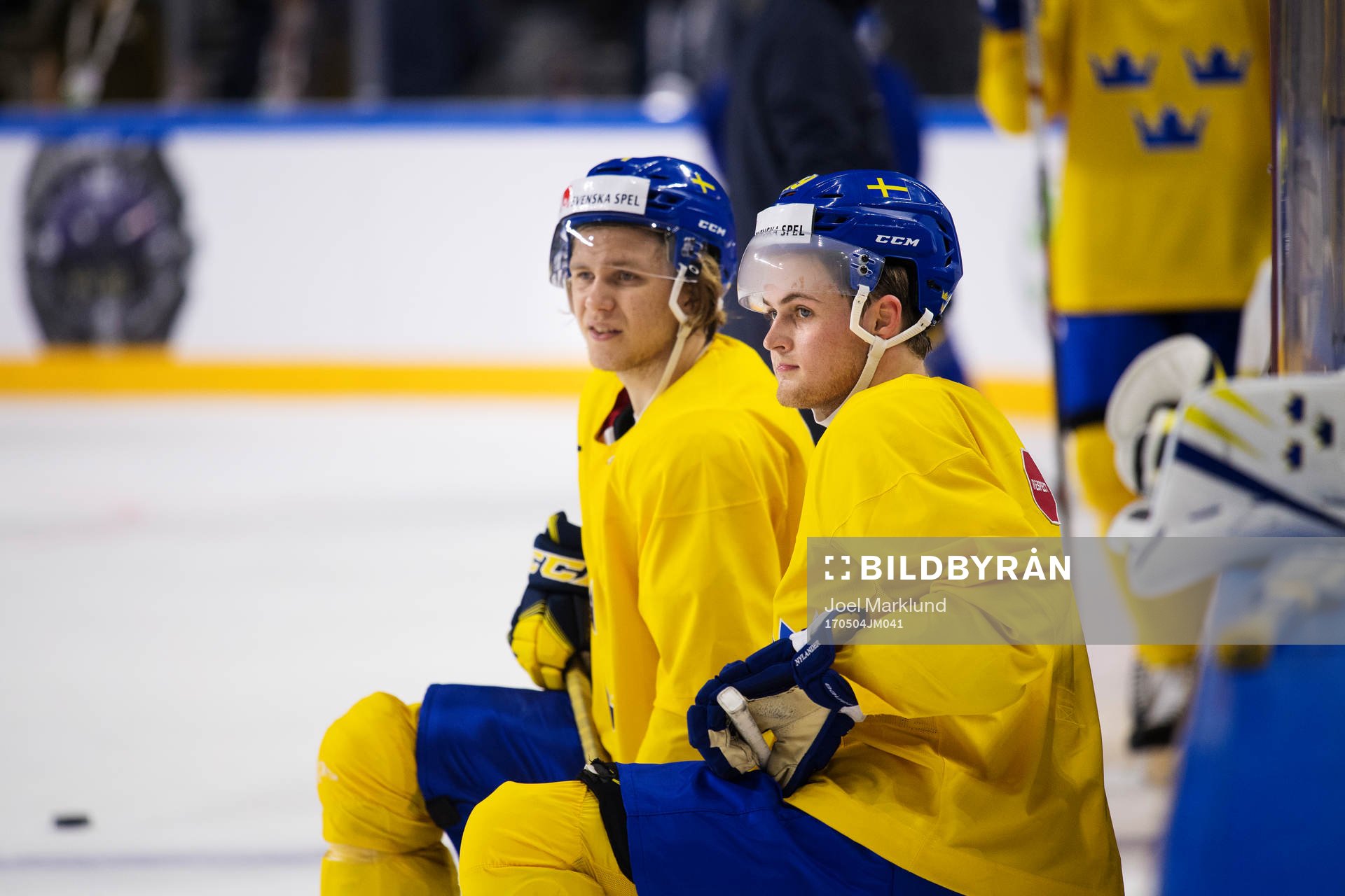 William Karlsson och William Nylander