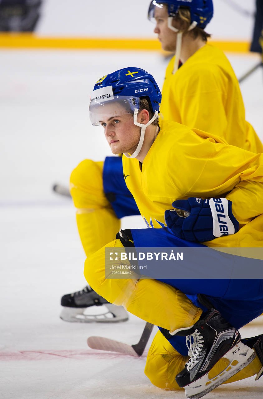 William Nylander