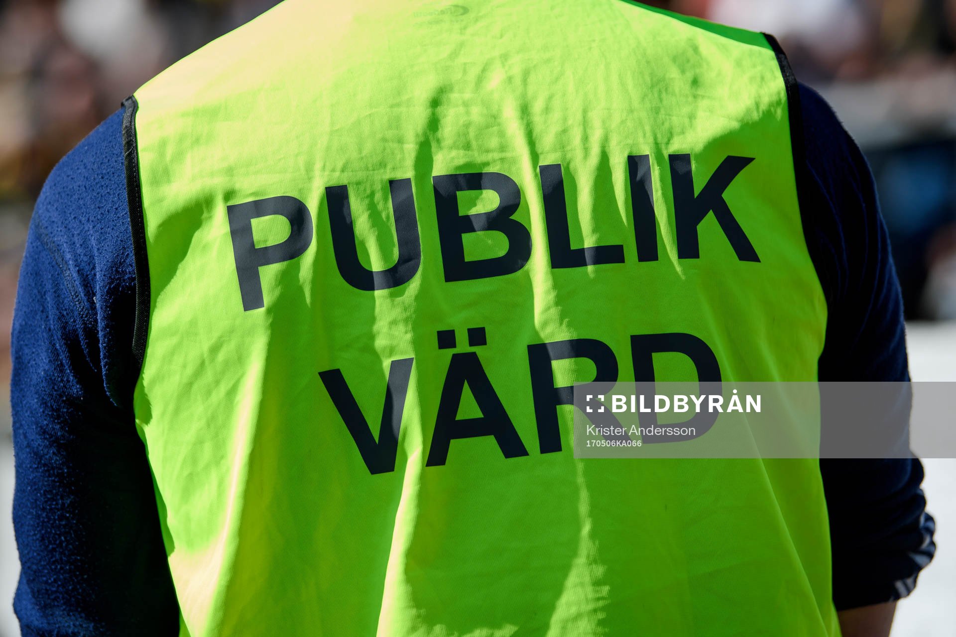 Publikvärd
