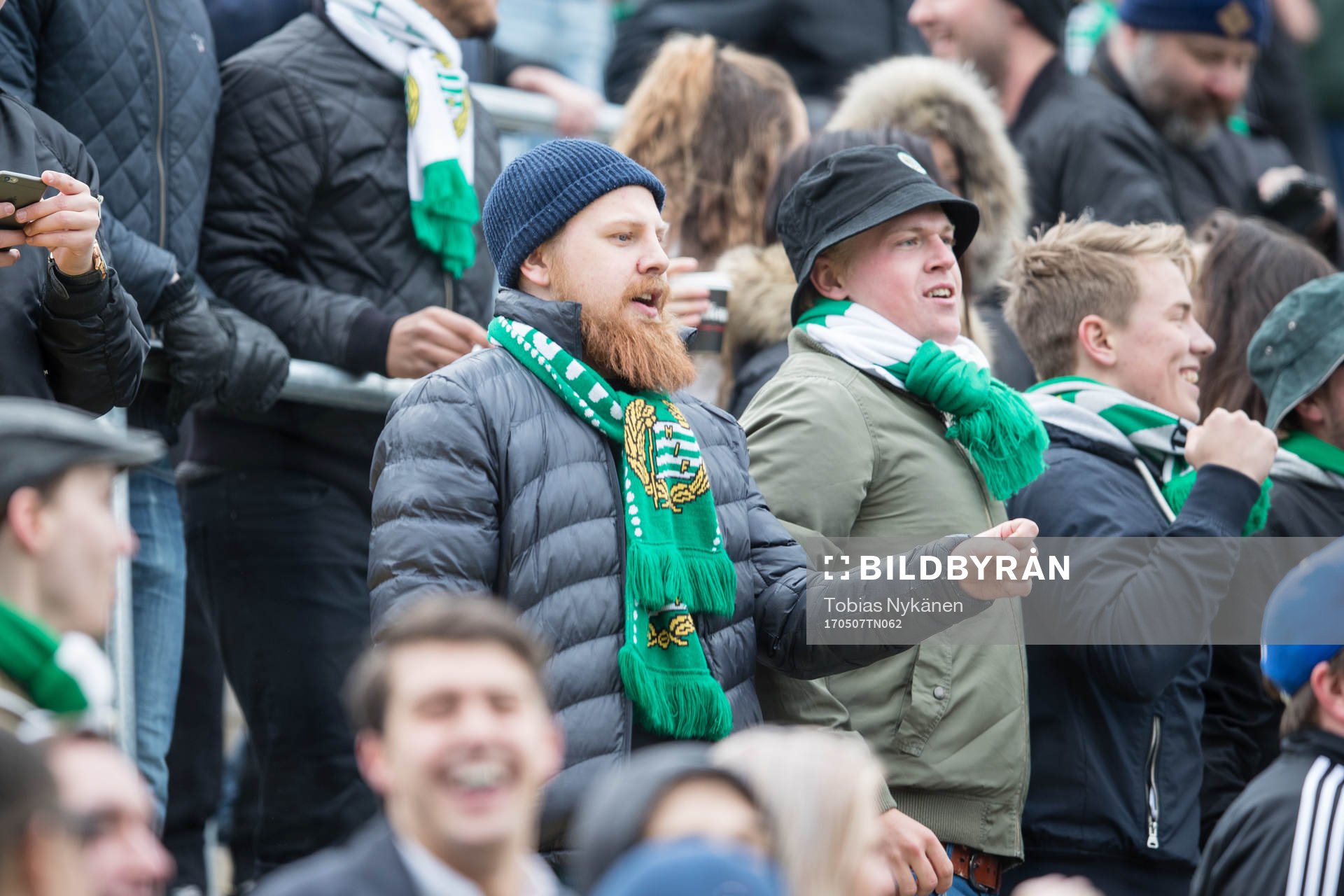Hammarby supportrar