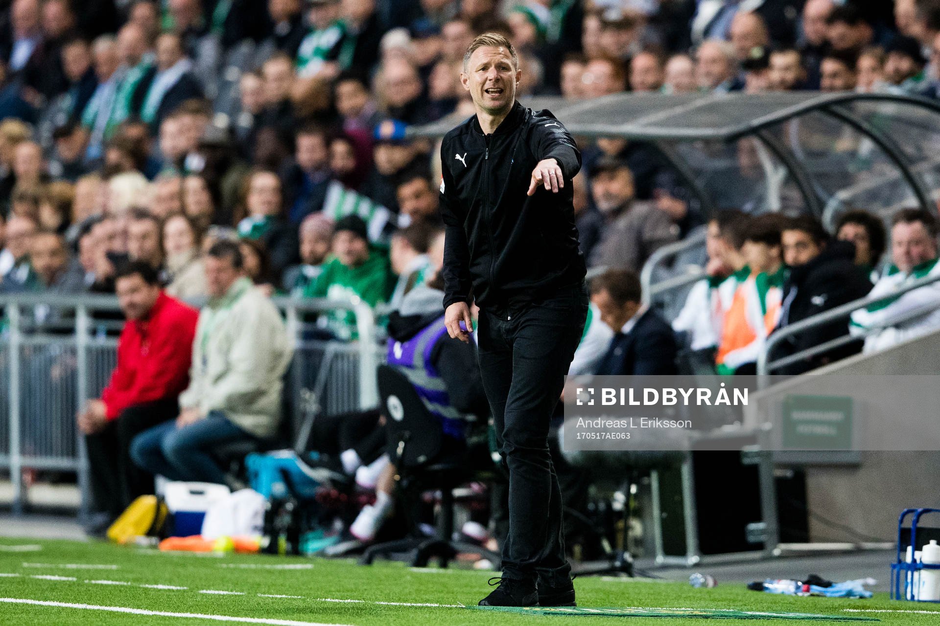 Malmö FFs tränare Magnus Pehrsson