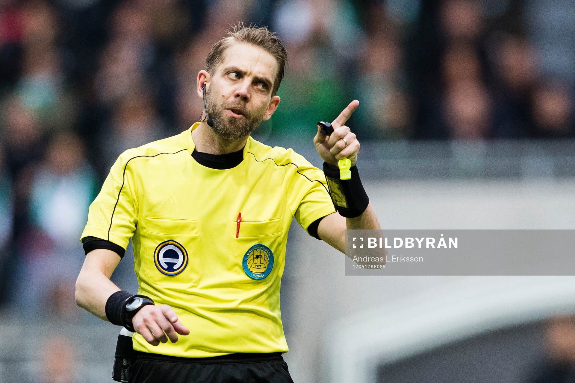 Domare Johan Hamlin