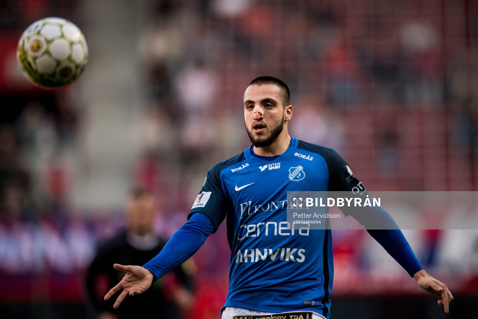 Norrbys Kardo Sarchel Aso Omar